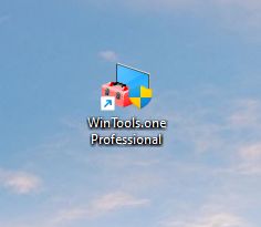 WinTools.one Pro Иконка